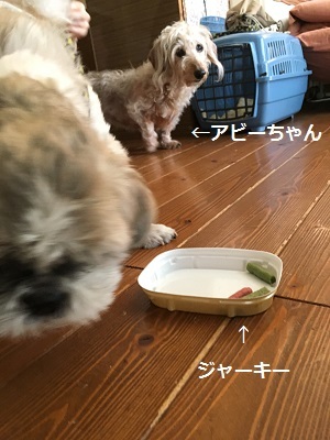 f0372998_22065950.jpg