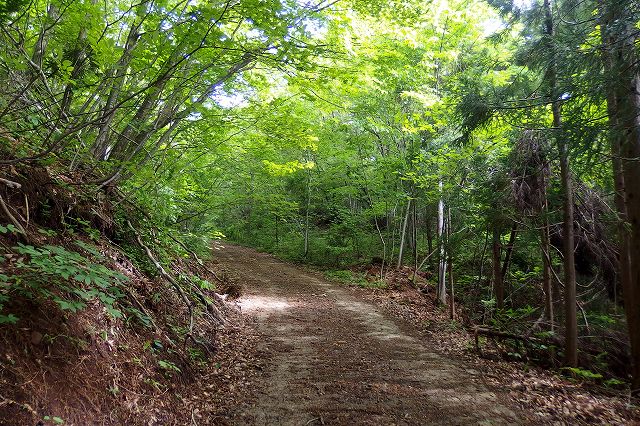 e0137200_1241784.jpg