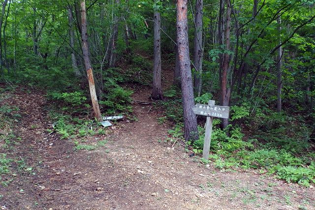 e0137200_12421759.jpg