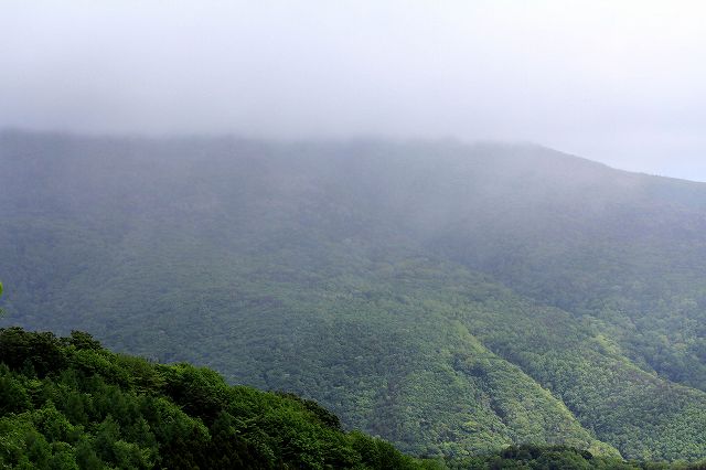 e0137200_12451246.jpg
