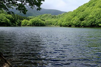 e0137200_12532742.jpg