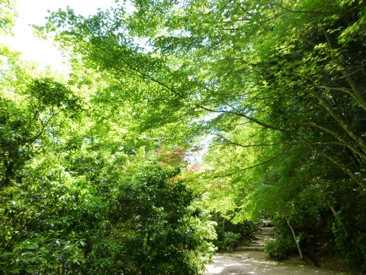 f0361605_21573719.jpg