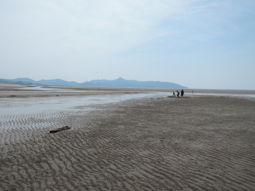 d0230507_10343634.jpg