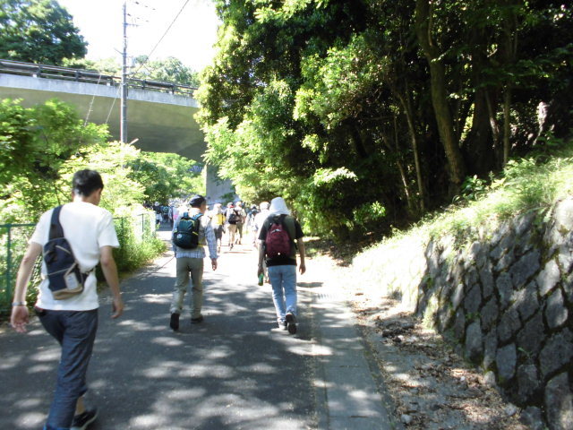 e0047608_19030330.jpg
