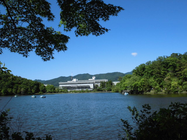 e0047608_19032932.jpg