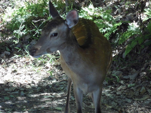 e0047608_19040370.jpg