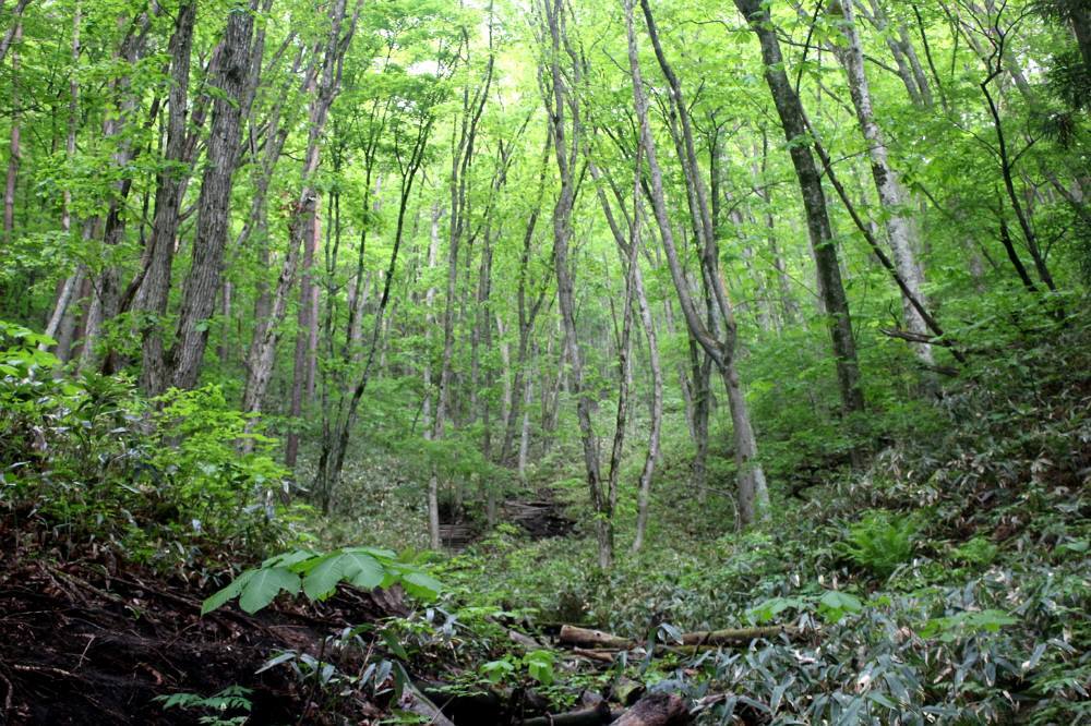 f0212511_22352423.jpg
