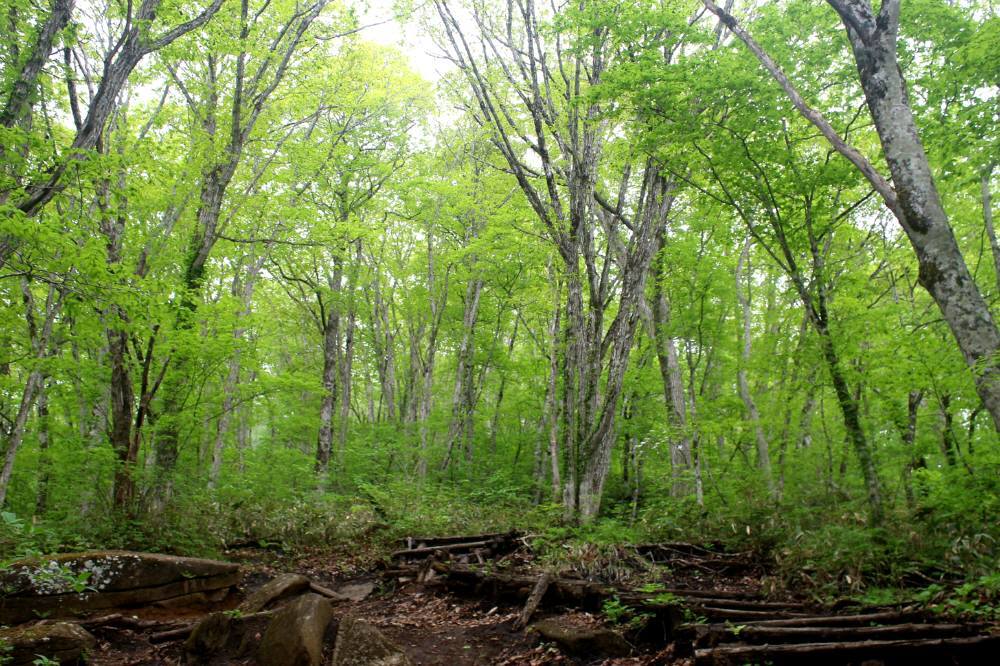 f0212511_22355672.jpg