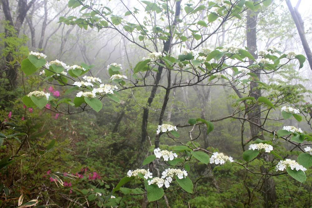 f0212511_22360466.jpg
