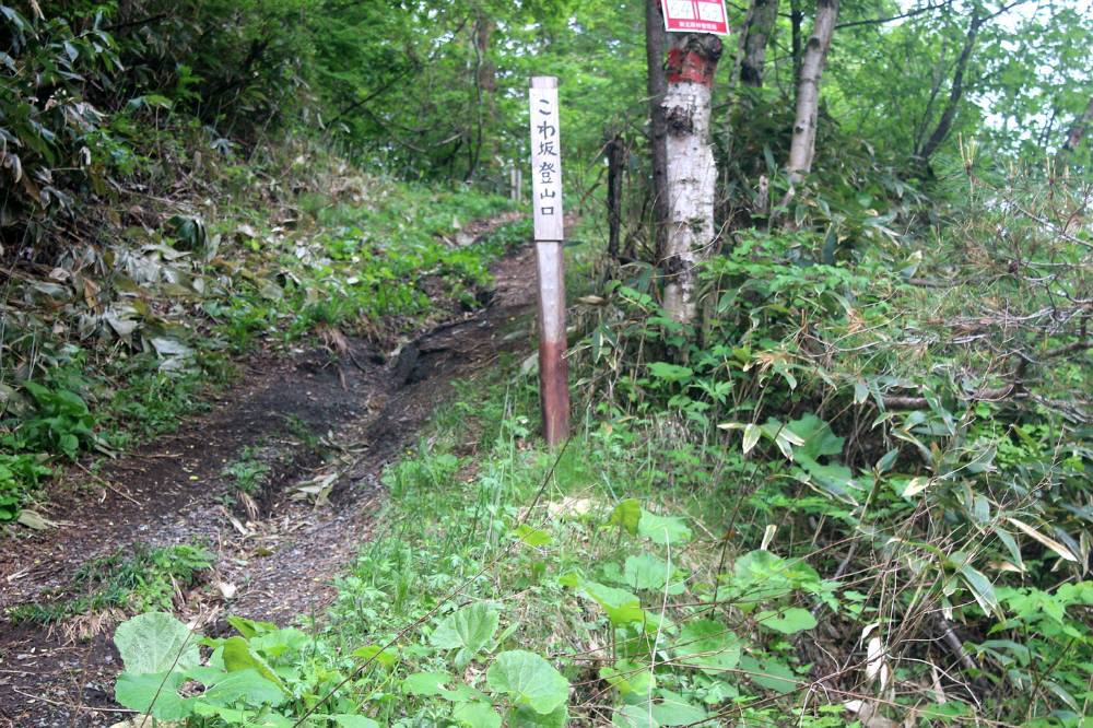 f0212511_22373365.jpg