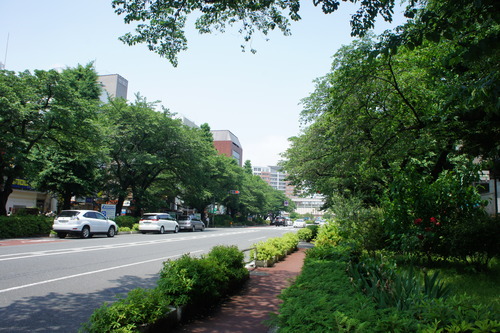f0215714_17345820.jpg