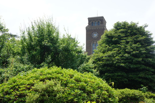 f0215714_17354055.jpg