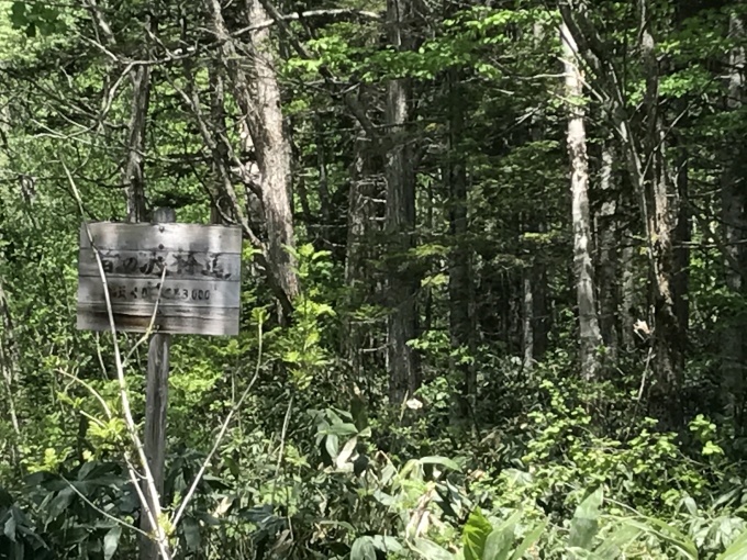 f0312817_13294518.jpg