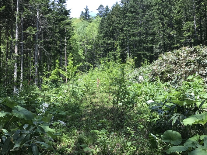 f0312817_13462438.jpg