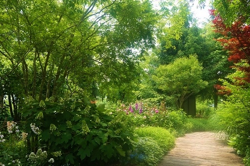 c0204121_20155698.jpg