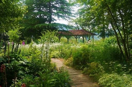 c0204121_20162019.jpg