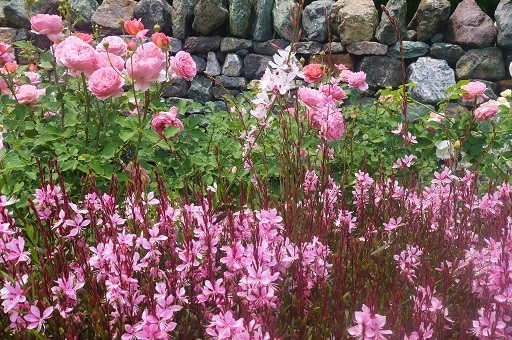 c0204121_20200324.jpg