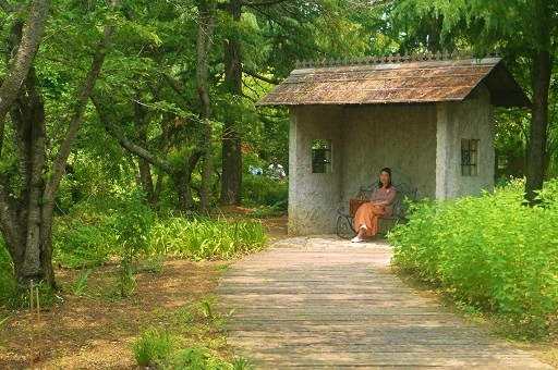c0204121_20242133.jpg
