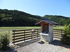 f0000521_04490421.jpg