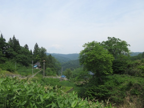 f0149422_21381872.jpg