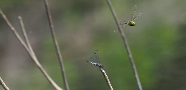c0369423_13364197.jpg
