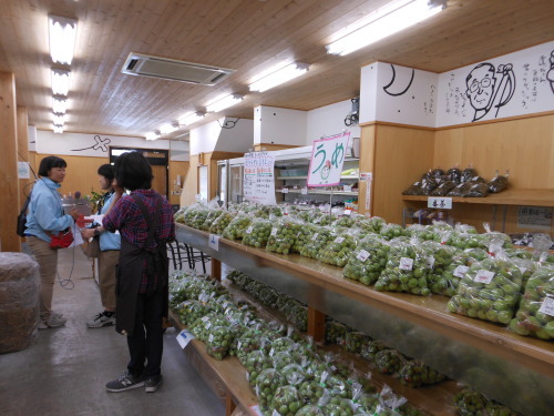f0227432_13453567.jpg