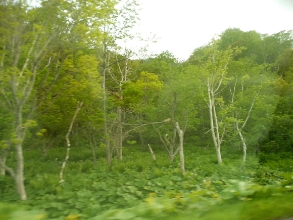 a0266139_21431315.jpg