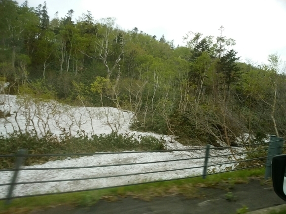 a0266139_21442095.jpg
