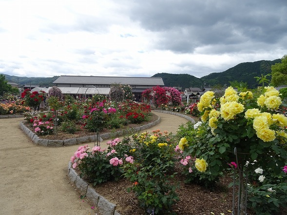 b0299042_22241310.jpg
