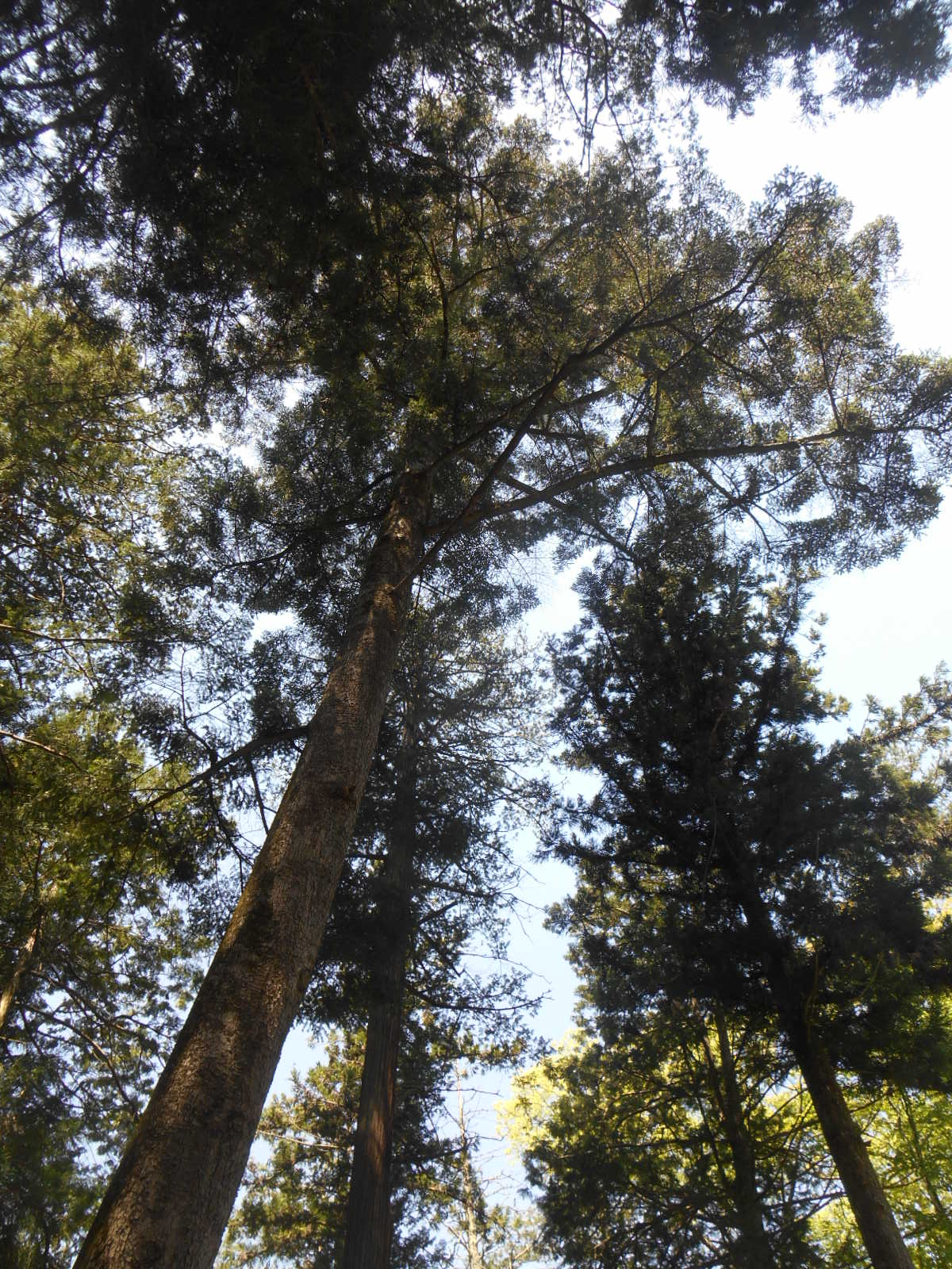 e0297347_2132217.jpg