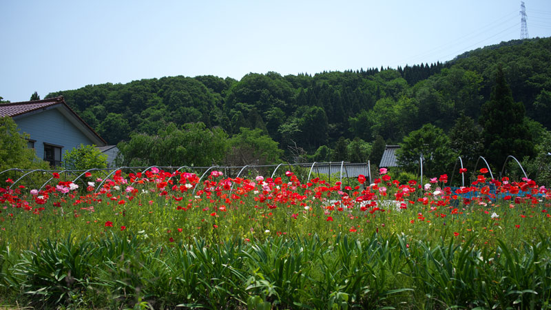d0342652_11184412.jpg