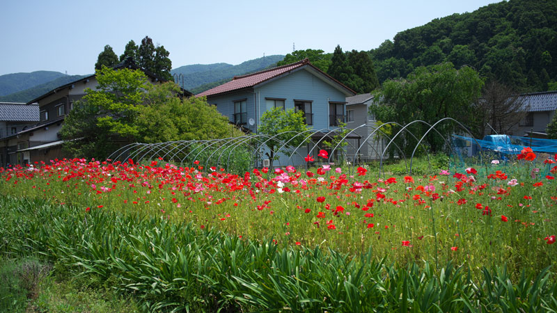d0342652_11202935.jpg