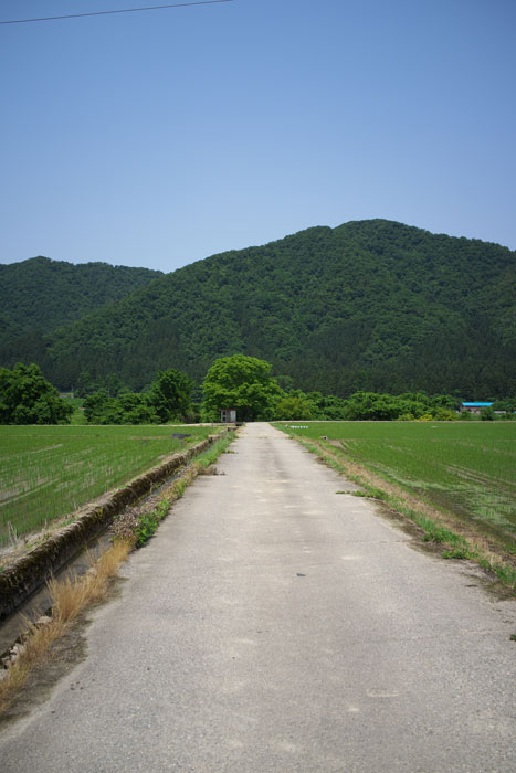 d0342652_11224578.jpg