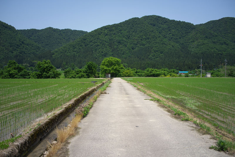 d0342652_1123636.jpg