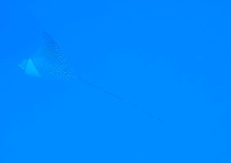 b0160957_08442389.jpg