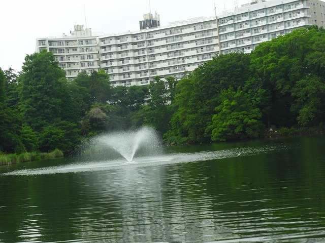 d0041158_01245734.jpg