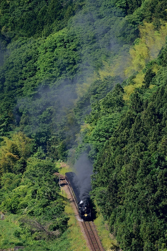 d0336159_20472028.jpg