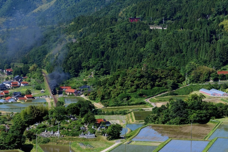 d0336159_20473243.jpg