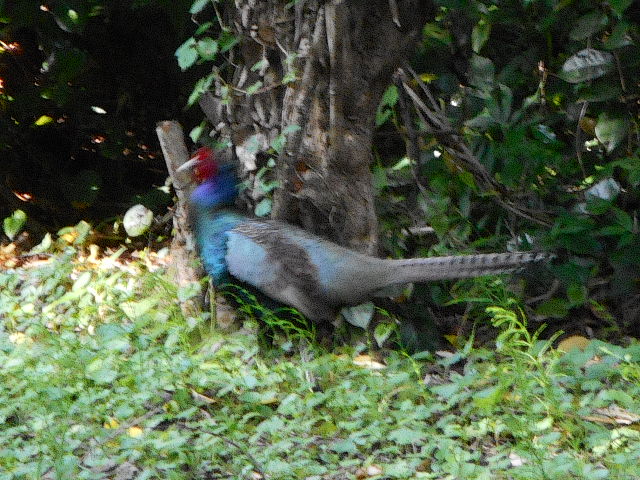 d0098363_827489.jpg