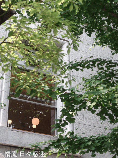 e0346064_20274462.gif