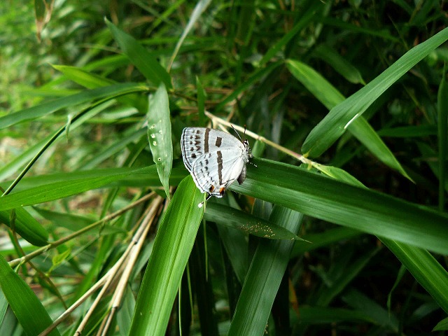 d0019074_10525718.jpg