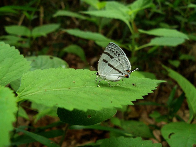 d0019074_16524134.jpg