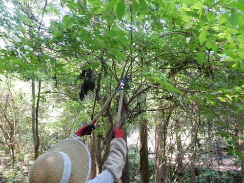 f0054677_05190310.jpg