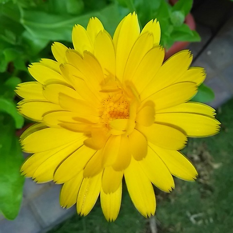 d0081485_09403368.jpg