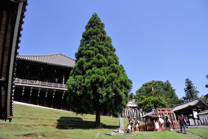 f0377688_07533616.jpg