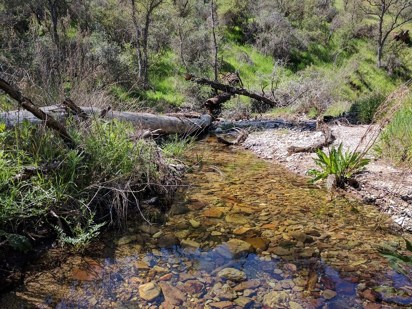 f0328897_06500303.jpg