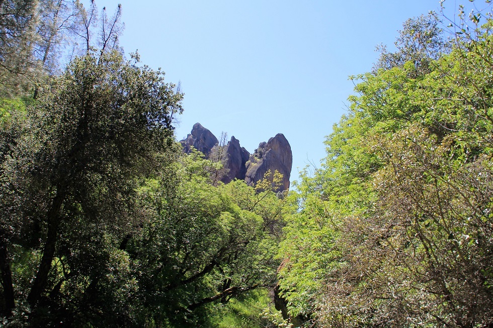 f0328897_07142077.jpg