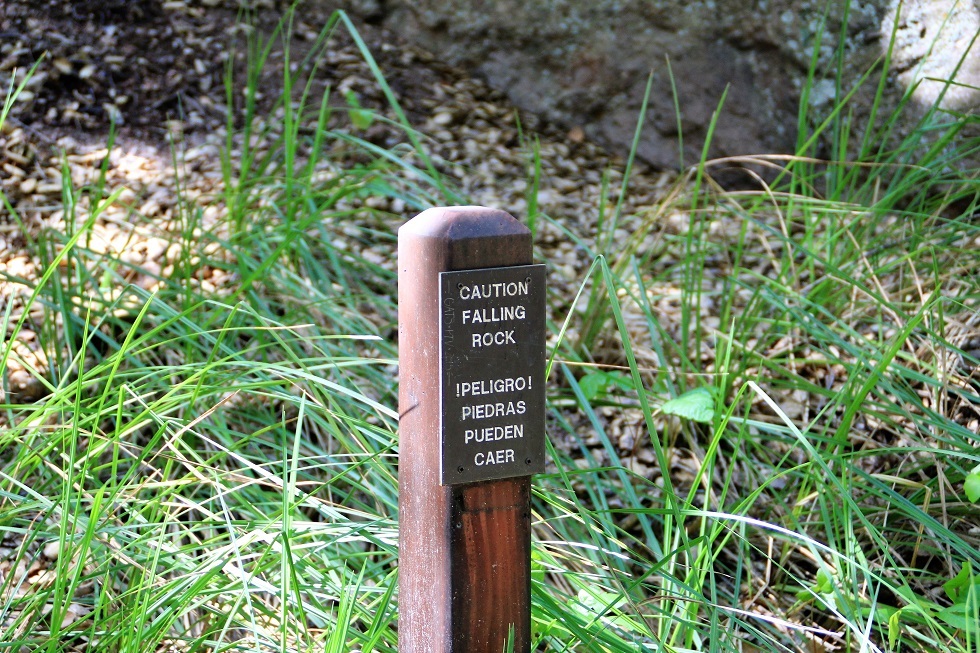 f0328897_07162023.jpg