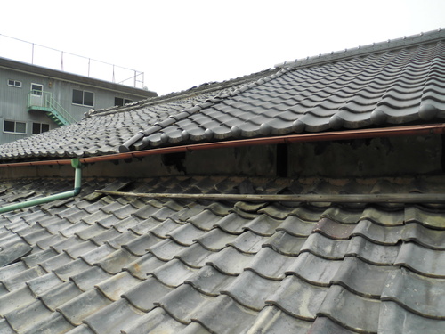 c0108198_17224145.jpg