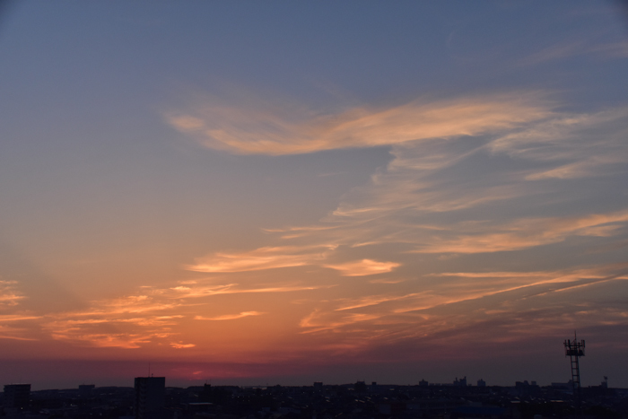 c0049299_22420141.jpg